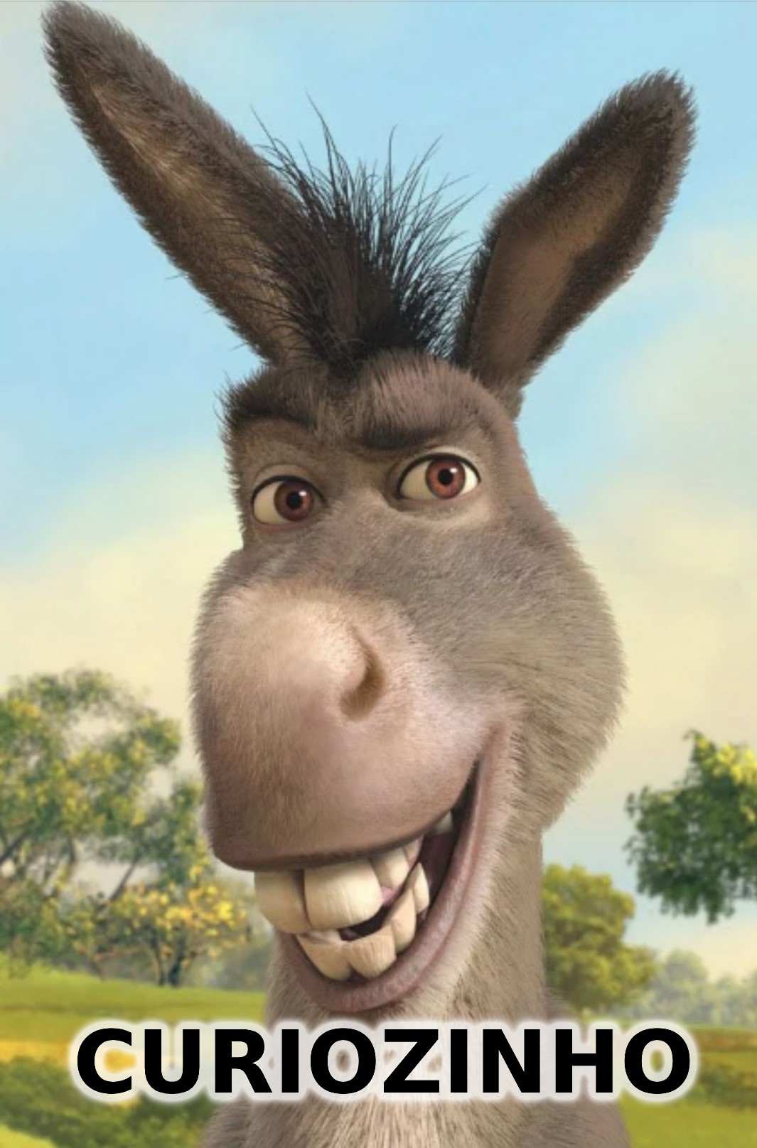 Burro do Shrek: Curiozinho